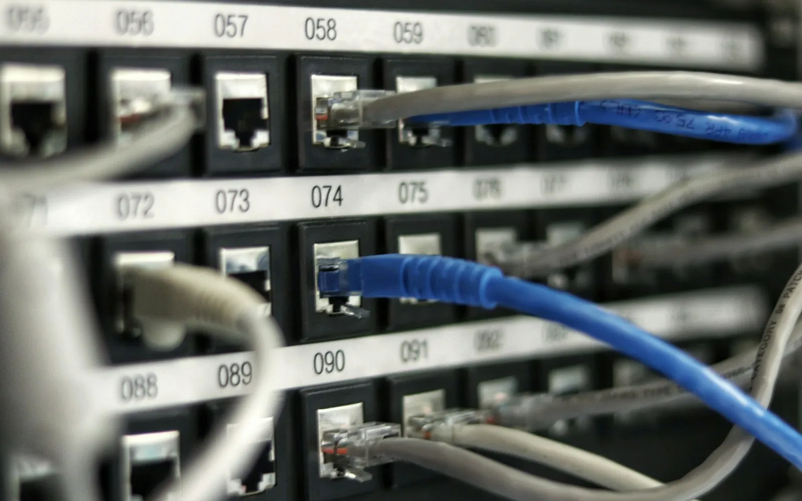 Network switch with blue patch cables